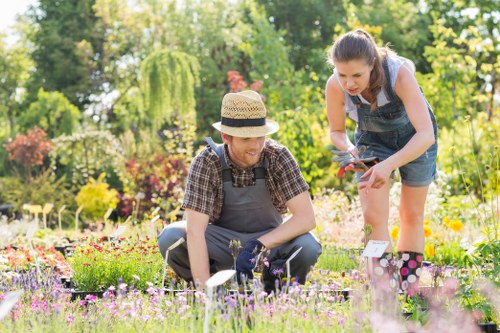 Garden planning and design in Shepherds Bush
