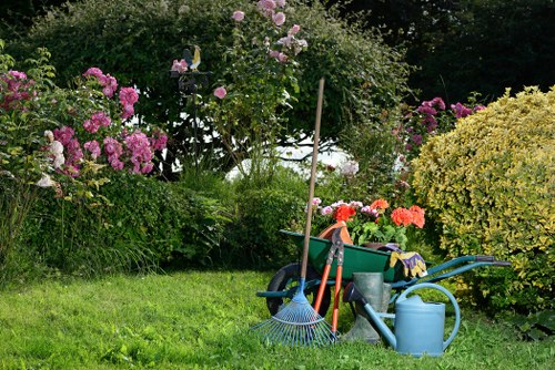 Before and after garden clearance transformation