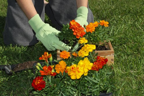 Garden professionals at work in Shepherds Bush