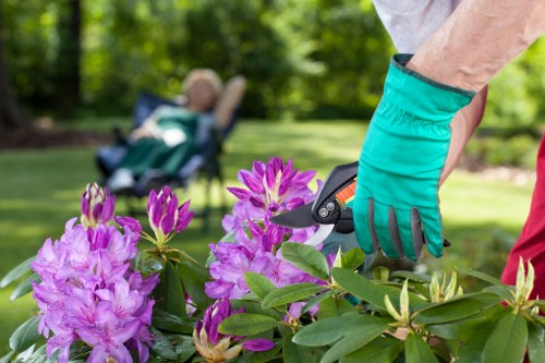 Gardener pruning shrubs in Shepherds Bush