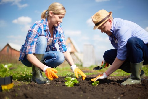 Spring garden maintenance activities in Shepherds Bush