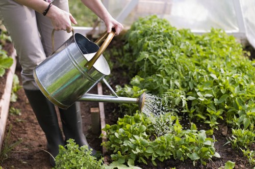 Eco-friendly garden maintenance in Shepherds Bush